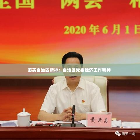 落实自治区精神:自治区党委经济工作精神