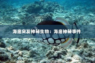 海底突发神秘生物:海底神秘事件