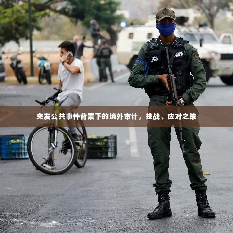 突发公共事件背景下的境外审计，挑战、应对之策