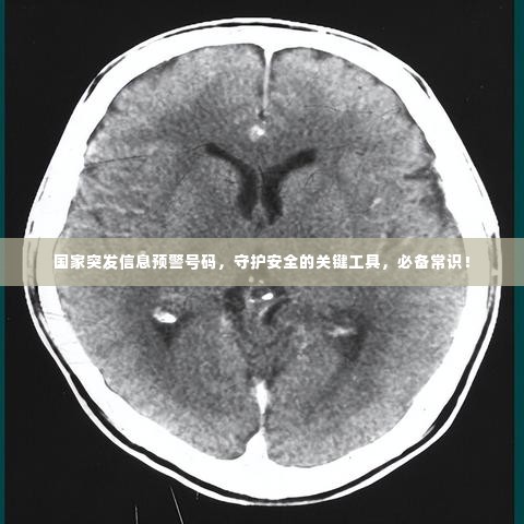 国家突发信息预警号码,守护安全的关键工具,必备常识!