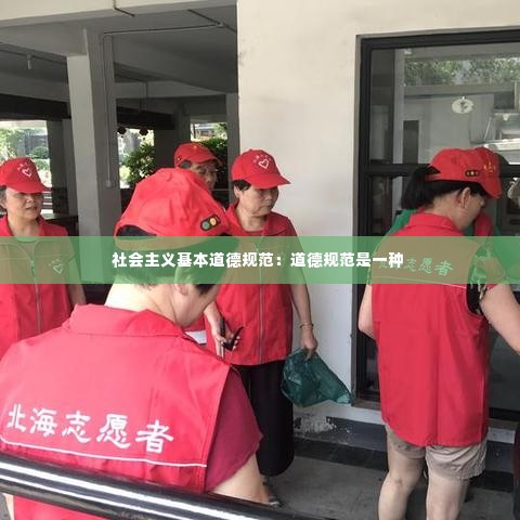 社会主义基本道德规范:道德规范是一种