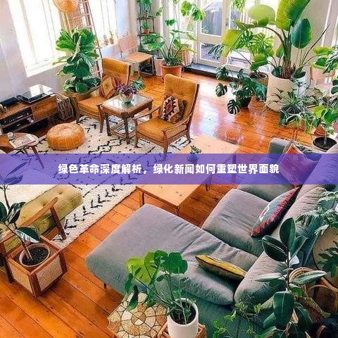 绿色革命深度解析,绿化新闻如何重塑世界面貌