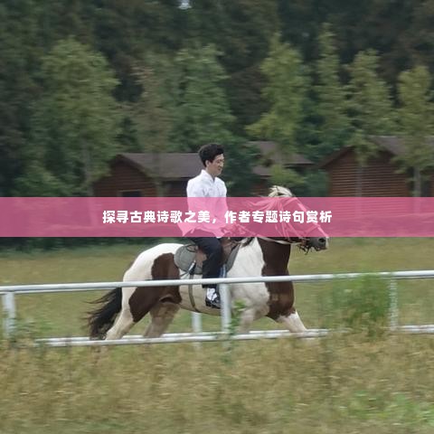 探寻古典诗歌之美,作者专题诗句赏析