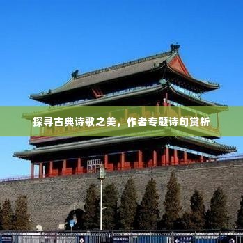 探寻古典诗歌之美,作者专题诗句赏析