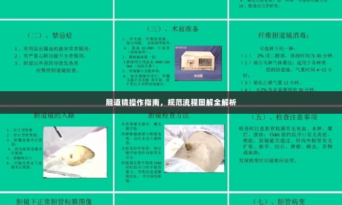 鬼张鬼智 第4页