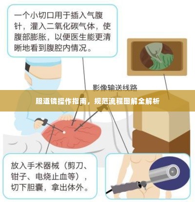 胆道镜操作指南,规范流程图解全解析