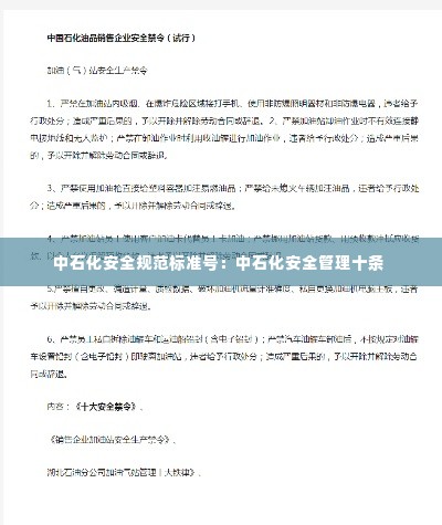 中石化安全规范标准号:中石化安全管理十条