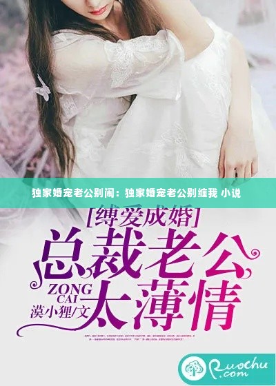 独家婚宠老公别闹:独家婚宠老公别缠我 小说