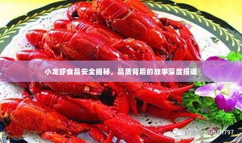 持之以恒 第4页