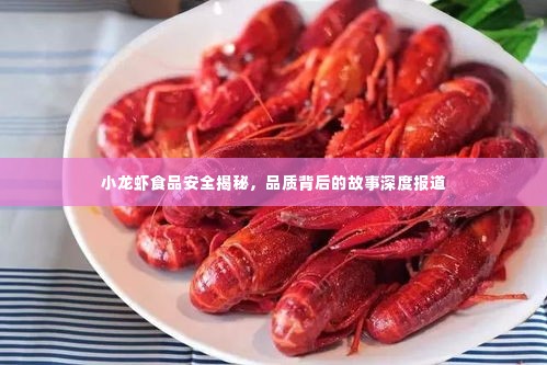 小龙虾食品安全揭秘,品质背后的故事深度报道