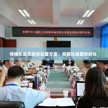 规模化组织高效运营方案：规模化经营的好处 