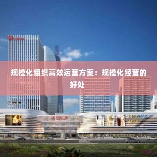 规模化组织高效运营方案:规模化经营的好处