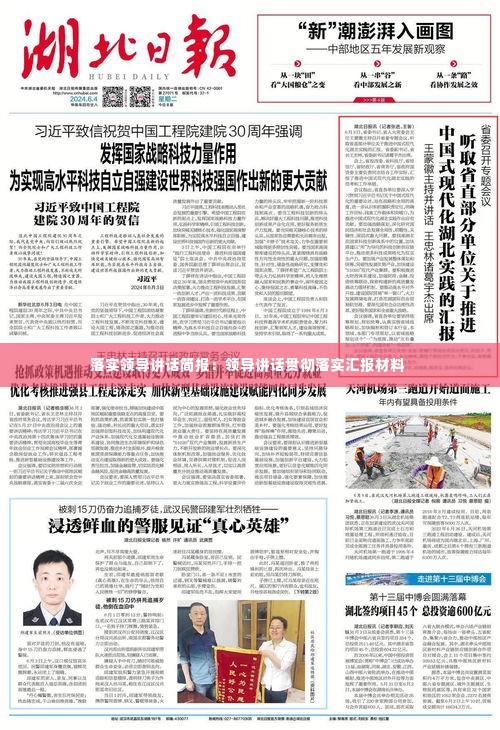 落实领导讲话简报:领导讲话贯彻落实汇报材料