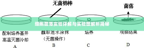 料事如神 第3页