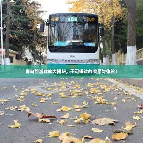 青岛旅游攻略大揭秘,不可错过的美景与体验!