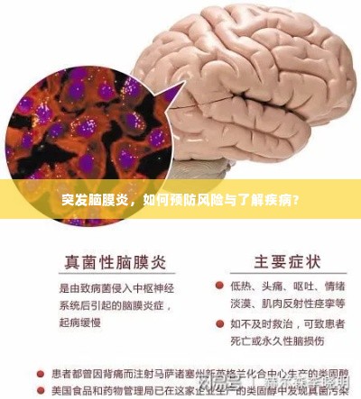 突发脑膜炎,如何预防风险与了解疾病?