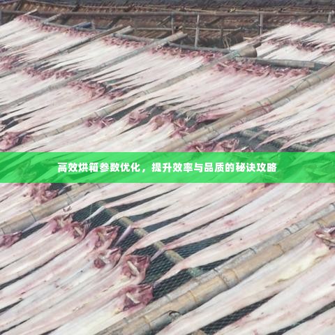 高效烘箱参数优化,提升效率与品质的秘诀攻略