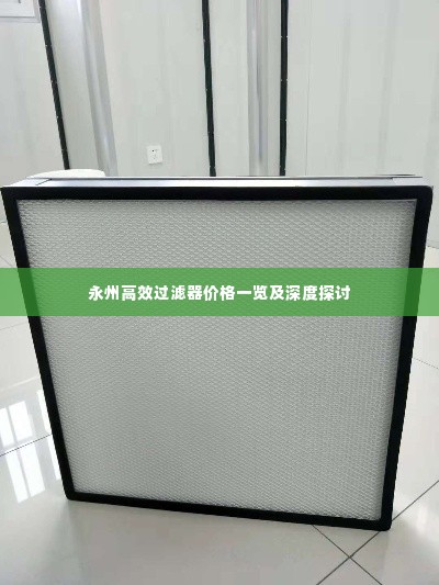 永州高效过滤器价格一览及深度探讨
