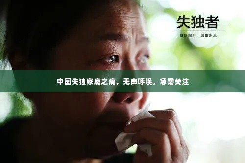 中国失独家庭之痛，无声呼唤，急需关注