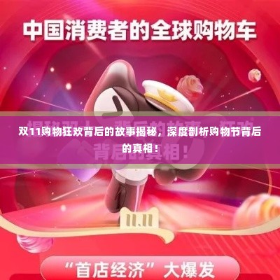 双11购物狂欢背后的故事揭秘,深度剖析购物节背后的真相!