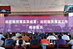 巡视整改落实及成果：巡视整改落实工作推进情况 