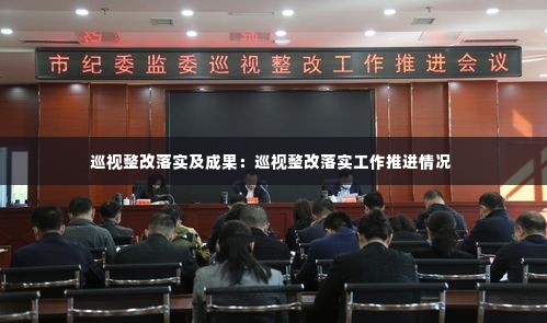 巡视整改落实及成果:巡视整改落实工作推进情况
