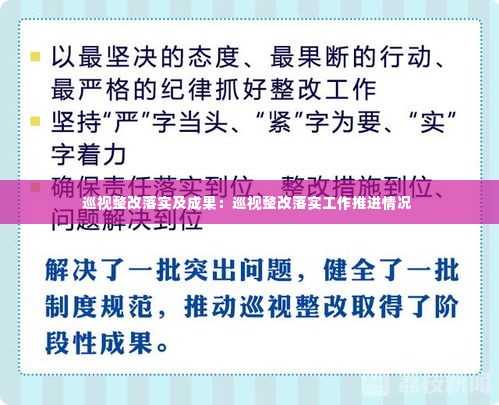巡视整改落实及成果:巡视整改落实工作推进情况