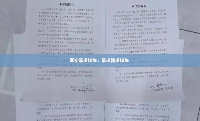 落实承诺措施：承诺践诺措施 