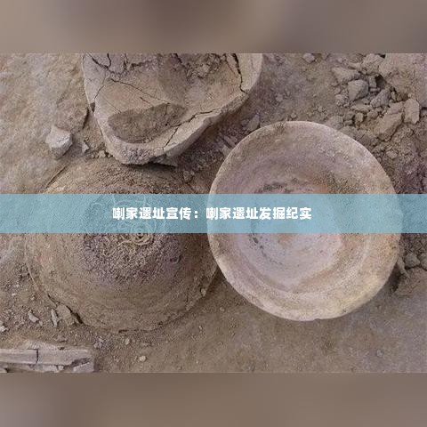 鸟语花香 第3页