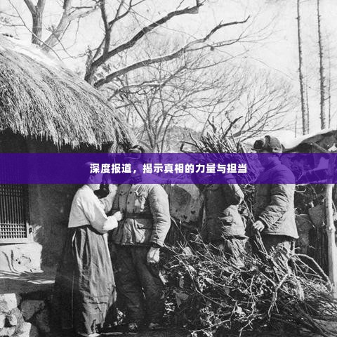 深度报道,揭示真相的力量与担当