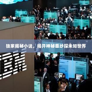 独家揭秘小说,揭开神秘面纱探未知世界