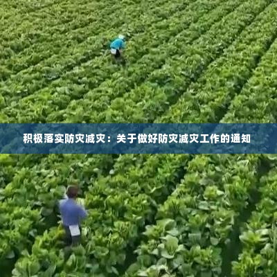 积极落实防灾减灾：关于做好防灾减灾工作的通知 