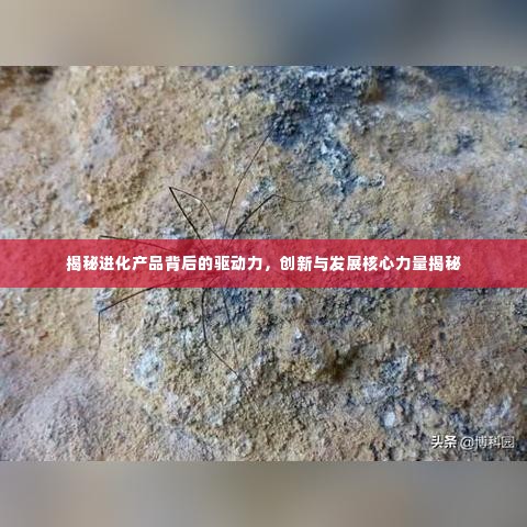 揭秘进化产品背后的驱动力,创新与发展核心力量揭秘