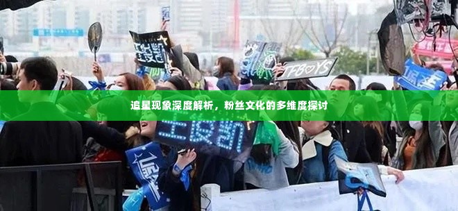 追星现象深度解析,粉丝文化的多维度探讨