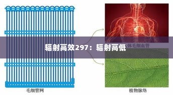 辐射高效297:辐射高低