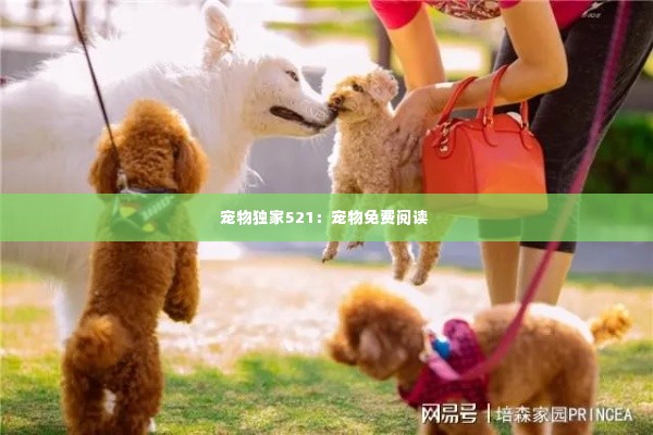 宠物独家521：宠物免费阅读 