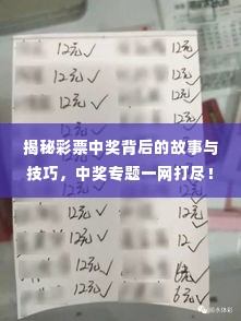 揭秘彩票中奖背后的故事与技巧,中奖专题一网打尽!