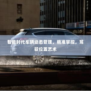 智能时代车辆动态管理,精准掌控,驾驭位置艺术
