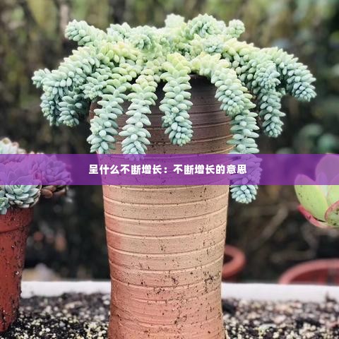 呈什么不断增长:不断增长的意思