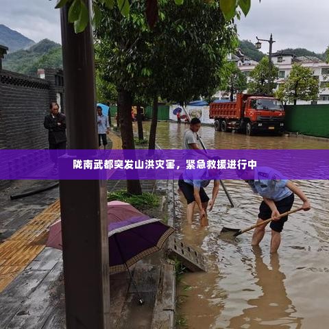 陇南武都突发山洪灾害，紧急救援进行中