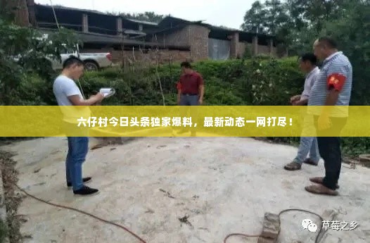 六仔村今日头条独家爆料,最新动态一网打尽!