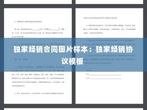 独家经销合同图片样本:独家经销协议模板