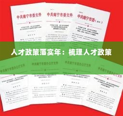 人才政策落实年:梳理人才政策