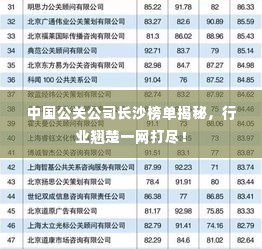 中国公关公司长沙榜单揭秘,行业翘楚一网打尽!