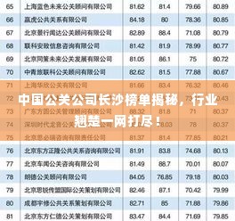 中国公关公司长沙榜单揭秘,行业翘楚一网打尽!