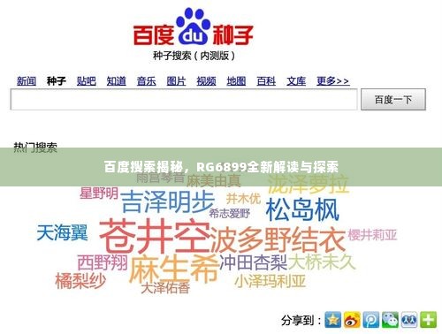 百度搜索揭秘,RG6899全新解读与探索