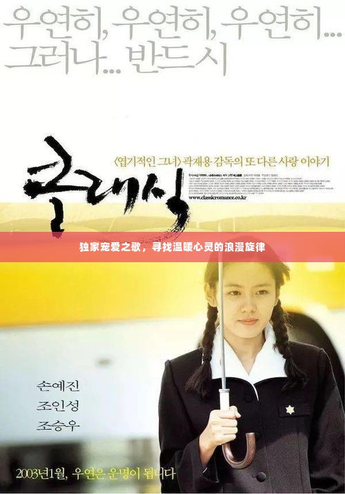 独家宠爱之歌,寻找温暖心灵的浪漫旋律