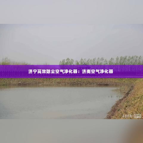 济宁高效除尘空气净化器：济南空气净化器 