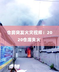 仓房突发火灾视频：2020仓库失火 
