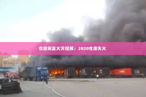 仓房突发火灾视频:2020仓库失火